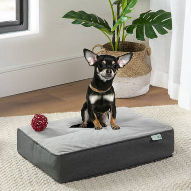 Memory foam discount dog bed canada